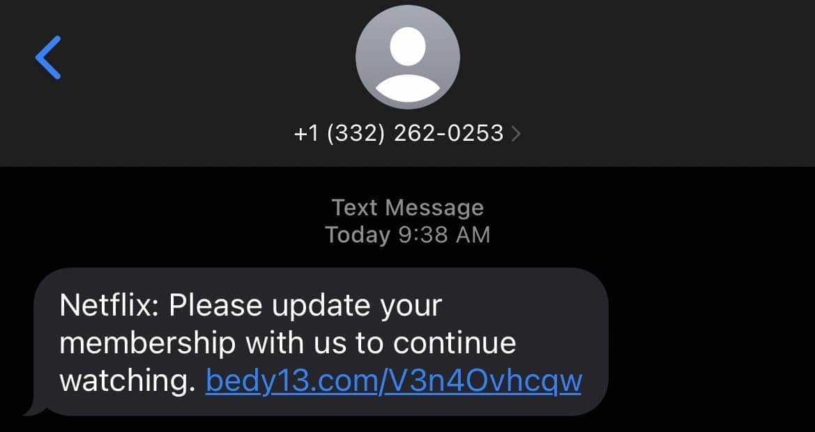 A fake Netflix text message that uses urgency to trick users into clicking a link.