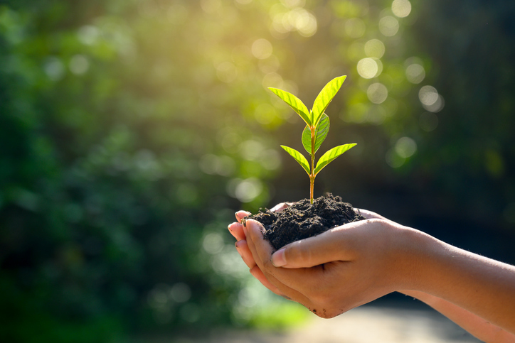 Hands holding a handful of soil with a seedling growing from it