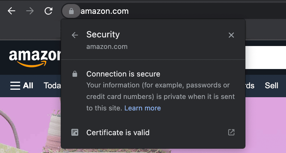 Walmart.com as an example of a secure URL